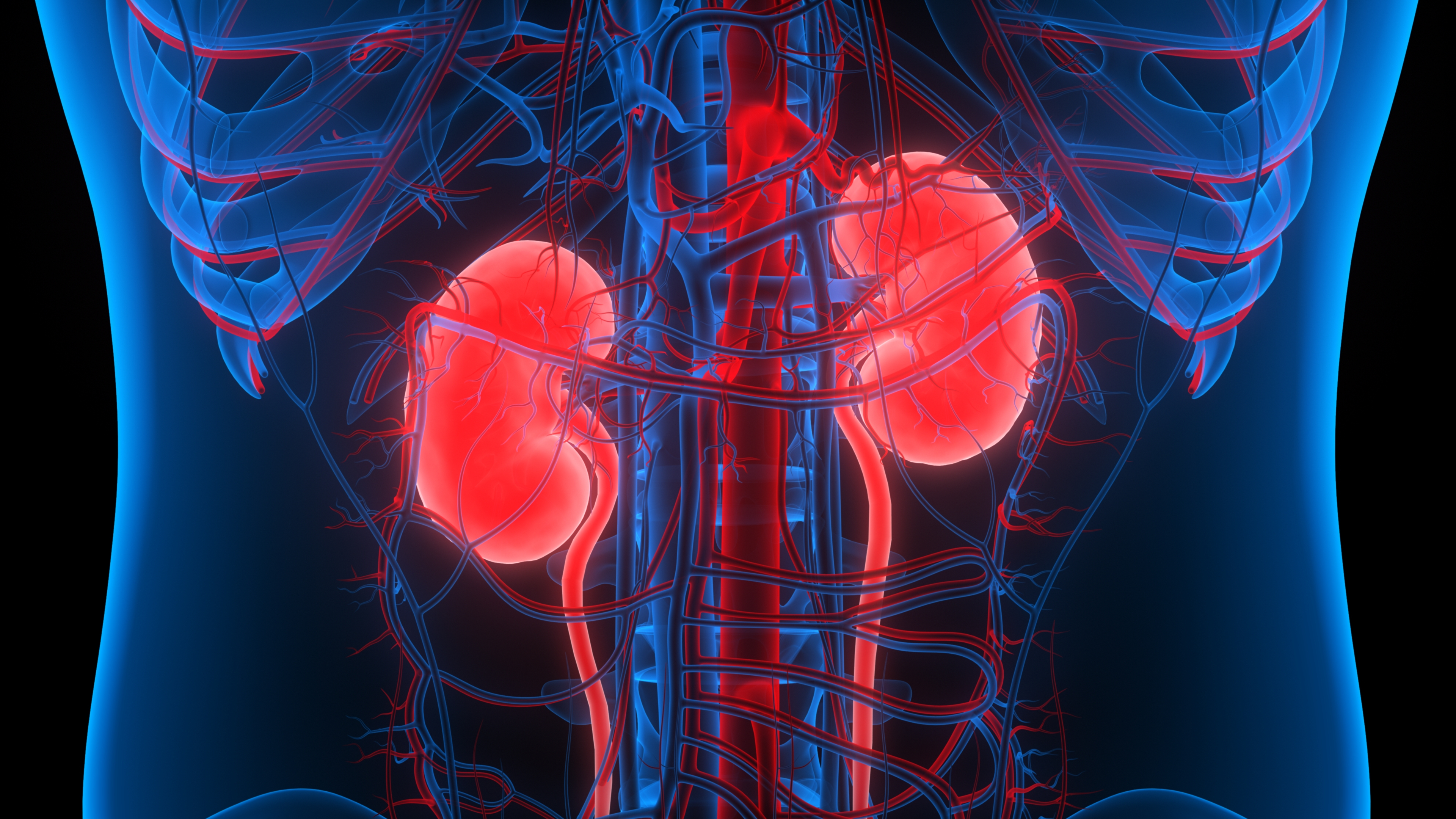 Nephrology