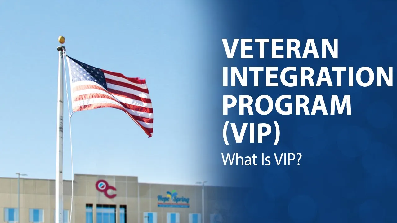 What is VIP? What is VIP?